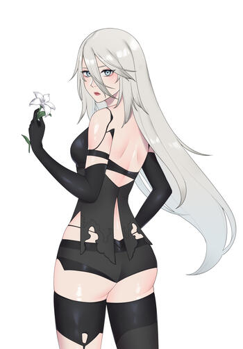 A2